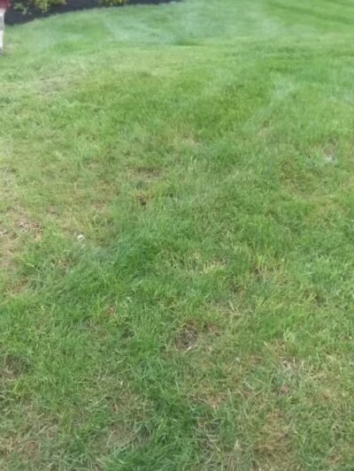 Sunrise Park - Wolcott, CT