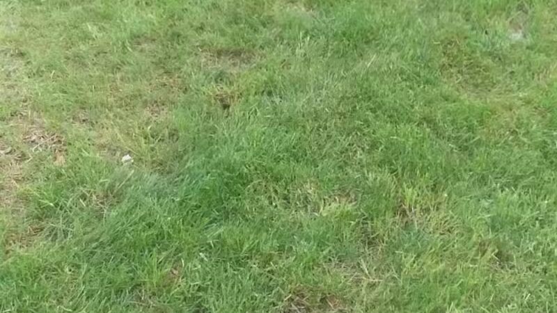 Sunrise Park - Wolcott, CT