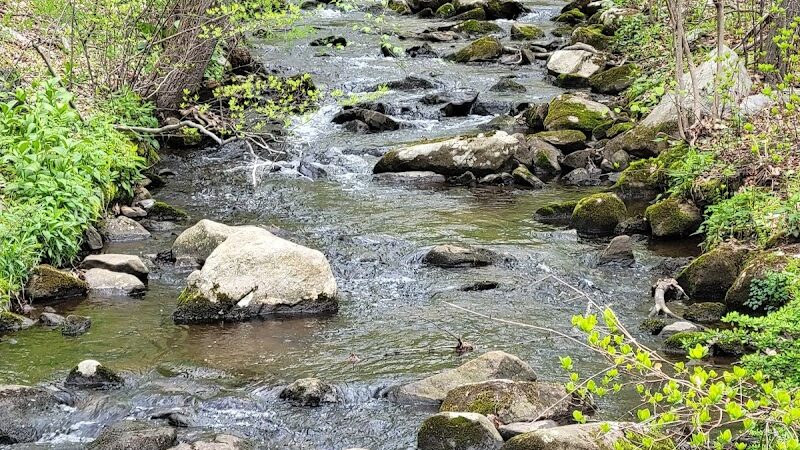 Woodtick Recreation Area - Wolcott, CT