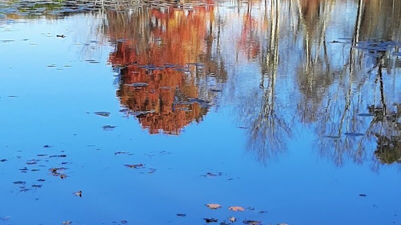 Woodtick Recreation Area - Wolcott, CT