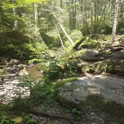Peterson Memorial Park - Wolcott, CT