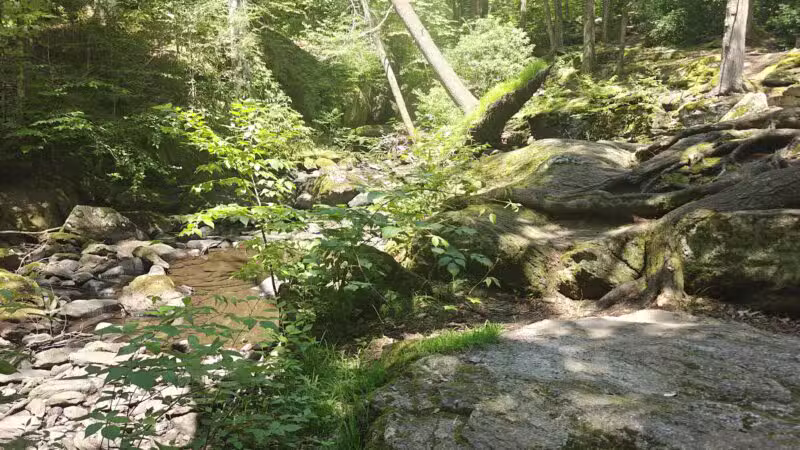Peterson Memorial Park - Wolcott, CT