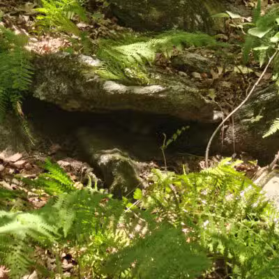 Peterson Memorial Park - Wolcott, CT
