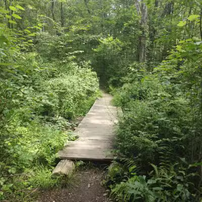 Peterson Memorial Park - Wolcott, CT