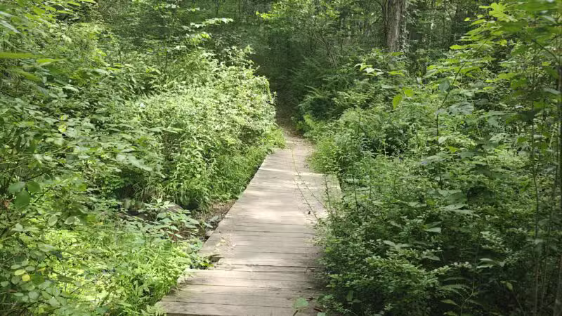 Peterson Memorial Park - Wolcott, CT