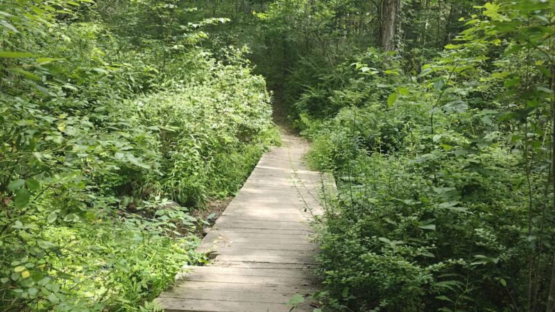 Peterson Memorial Park - Wolcott, CT