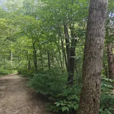 Peterson Memorial Park - Wolcott, CT