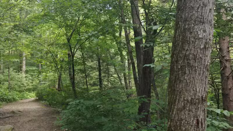 Peterson Memorial Park - Wolcott, CT