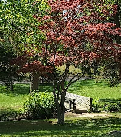 Bell Lake Park - Woodbury, NJ