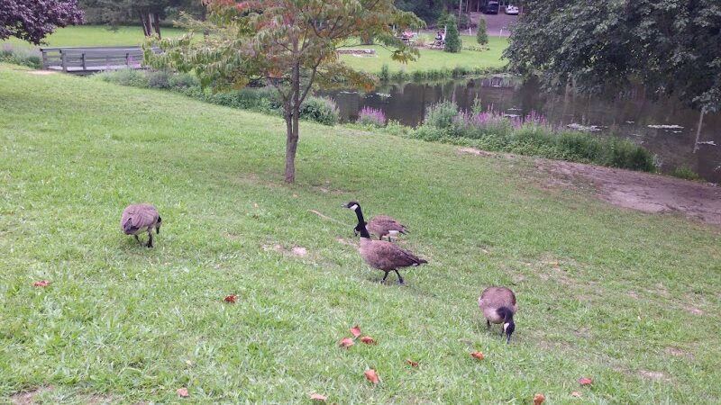 Bell Lake Park - Woodbury, NJ