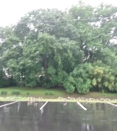 Woodbury Rotary Park - Woodbury, NJ