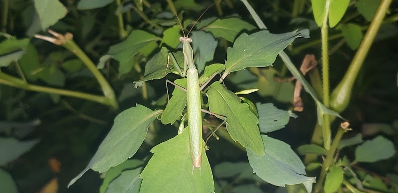 Woodbury Rotary Park - Woodbury, NJ