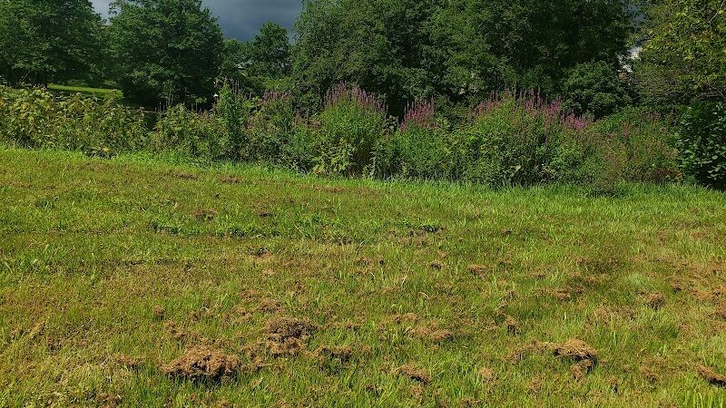 Woodbury Rotary Park - Woodbury, NJ