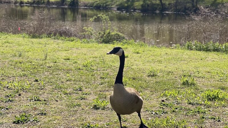 Woodbury Rotary Park - Woodbury, NJ