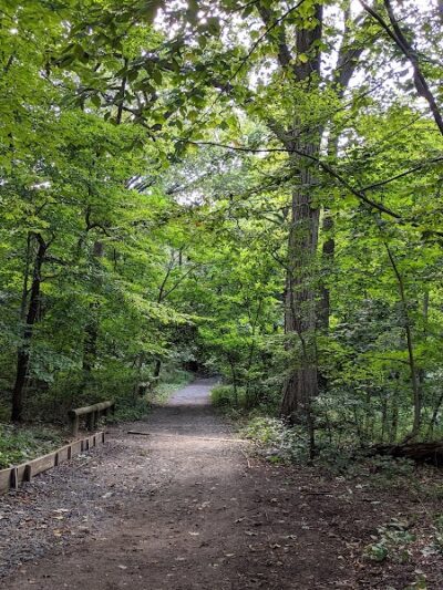 Forest Park - Woodhaven, NY