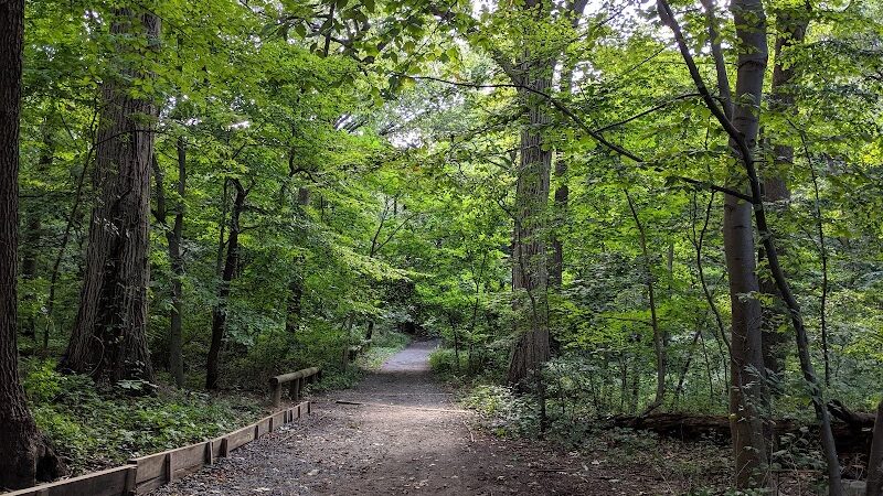 Forest Park - Woodhaven, NY