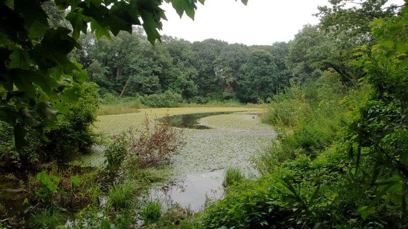 Forest Park - Woodhaven, NY