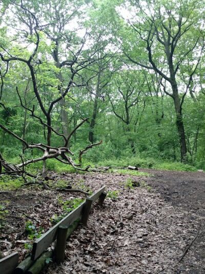 Forest Park - Woodhaven, NY