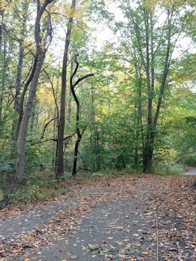 Forest Park - Woodhaven, NY