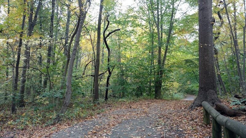 Forest Park - Woodhaven, NY