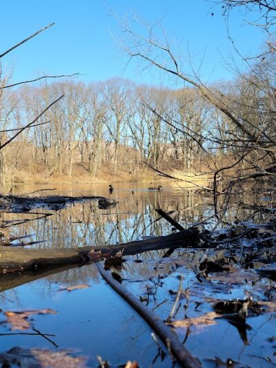 Forest Park - Woodhaven, NY