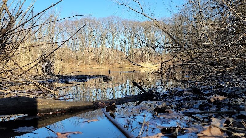 Forest Park - Woodhaven, NY