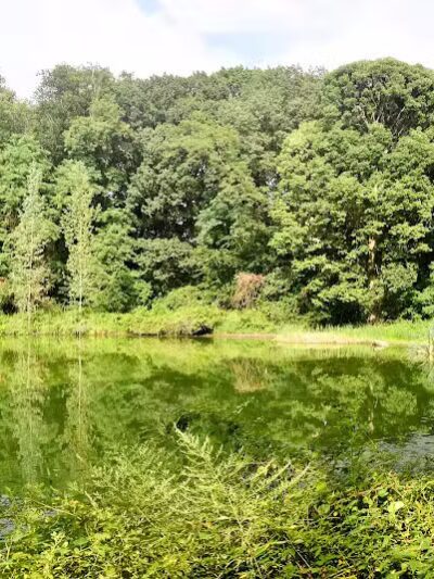 Forest Park - Woodhaven, NY