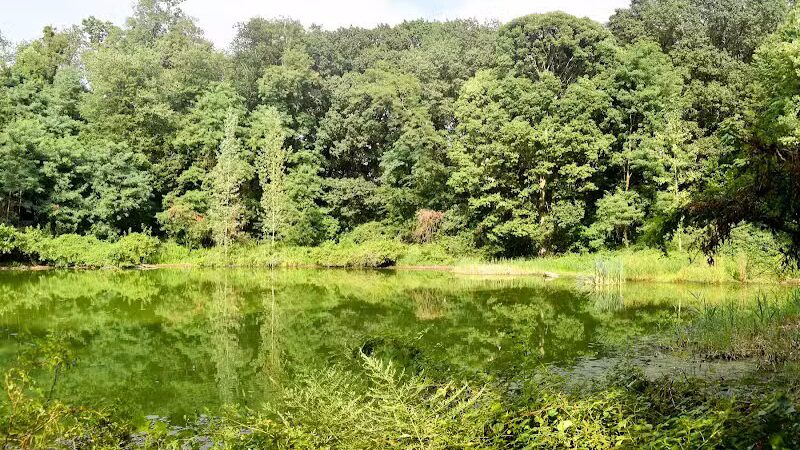 Forest Park - Woodhaven, NY