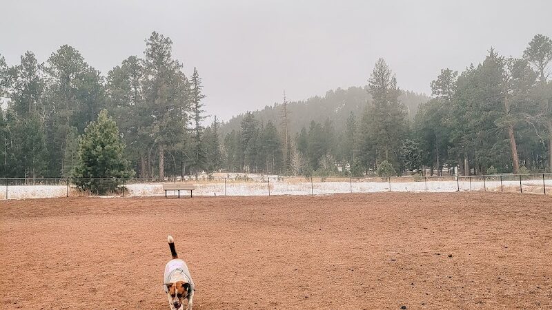 Golden Meadows Dog Park - Woodland Park, CO