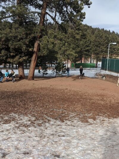 Golden Meadows Dog Park - Woodland Park, CO