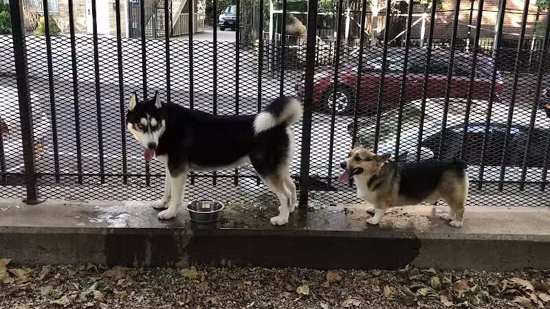 JH Crew Dog Park (Member Only) - Woodside, NY