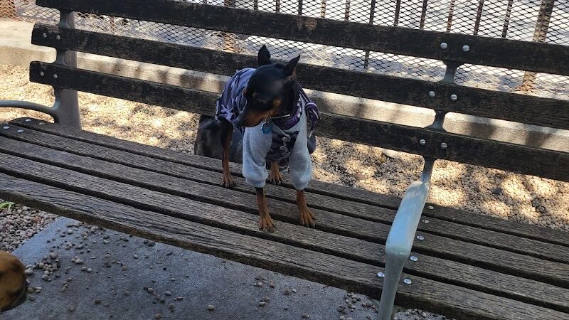 JH Crew Dog Park (Member Only) - Woodside, NY