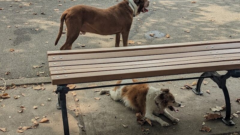 Sherry Dog Run - Woodside, NY