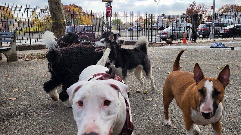 Sherry Dog Run - Woodside, NY