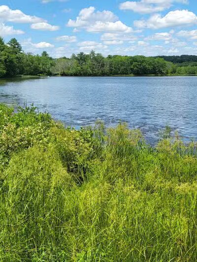 Roseland Park - Woodstock, CT