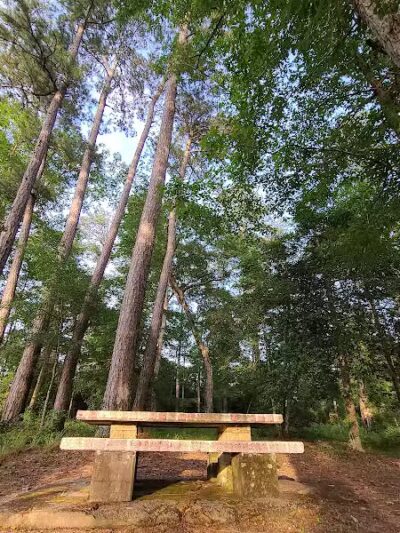 Texas Picnic Area - Woodville, TX