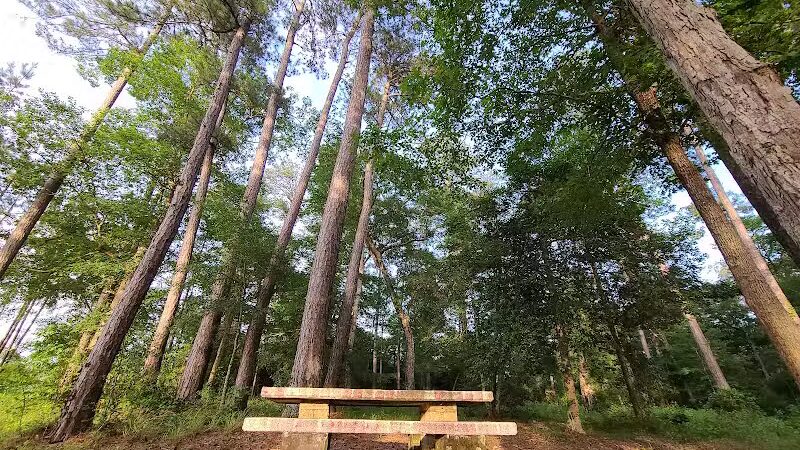 Texas Picnic Area - Woodville, TX