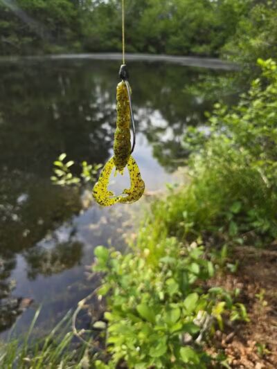 Texas Picnic Area - Woodville, TX