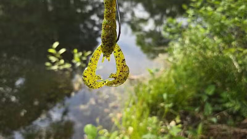Texas Picnic Area - Woodville, TX