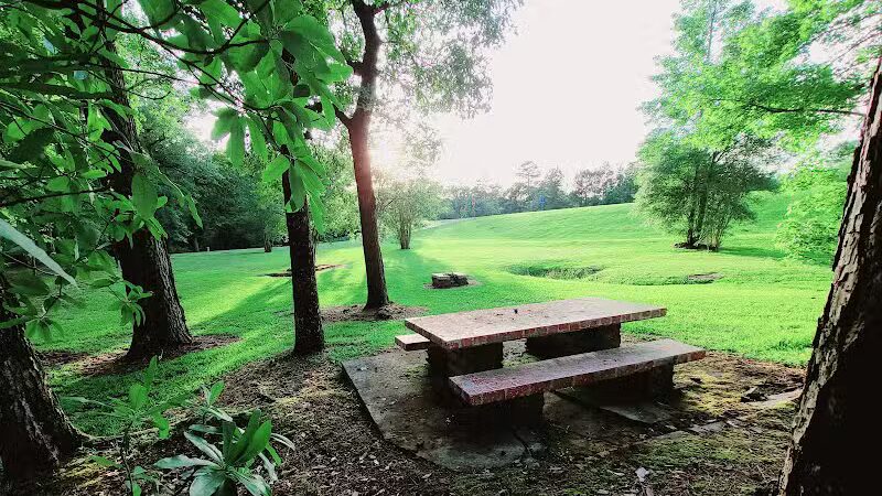 Texas Picnic Area - Woodville, TX