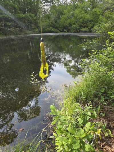 Texas Picnic Area - Woodville, TX