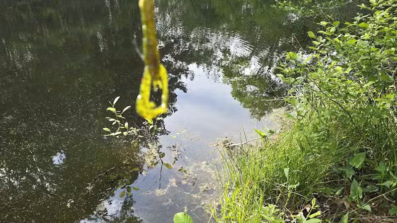Texas Picnic Area - Woodville, TX