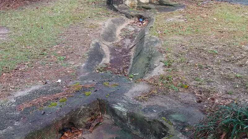 Texas Picnic Area - Woodville, TX