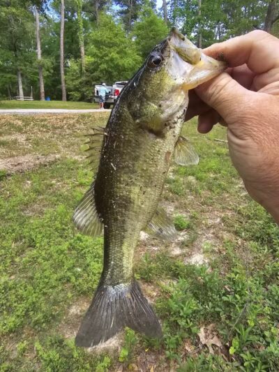 Texas Picnic Area - Woodville, TX