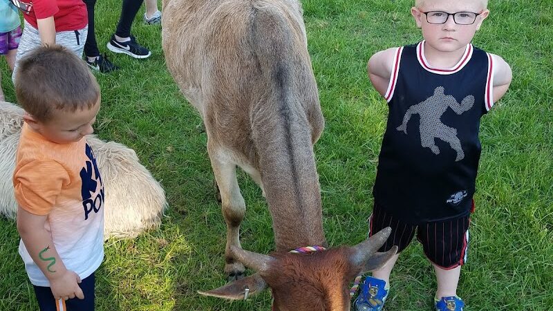 Diekroeger Brothers Park - Wright City, MO