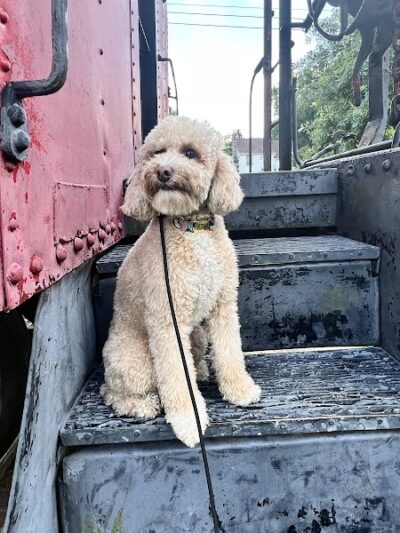 Diekroeger Brothers Park - Wright City, MO
