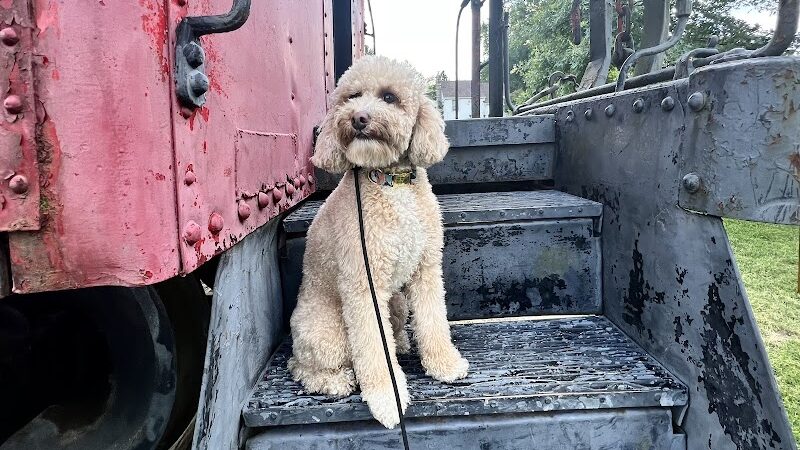 Diekroeger Brothers Park - Wright City, MO