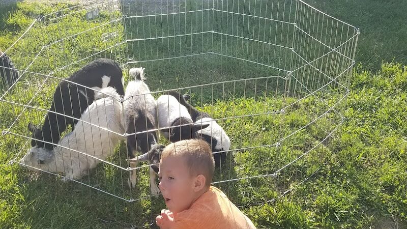 Diekroeger Brothers Park - Wright City, MO