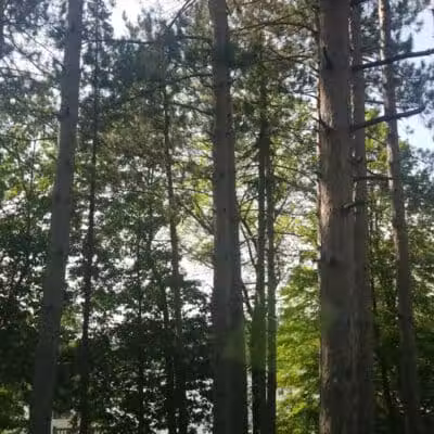 North Greenbush Dedrick Park - Wynantskill, NY