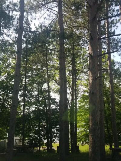 North Greenbush Dedrick Park - Wynantskill, NY